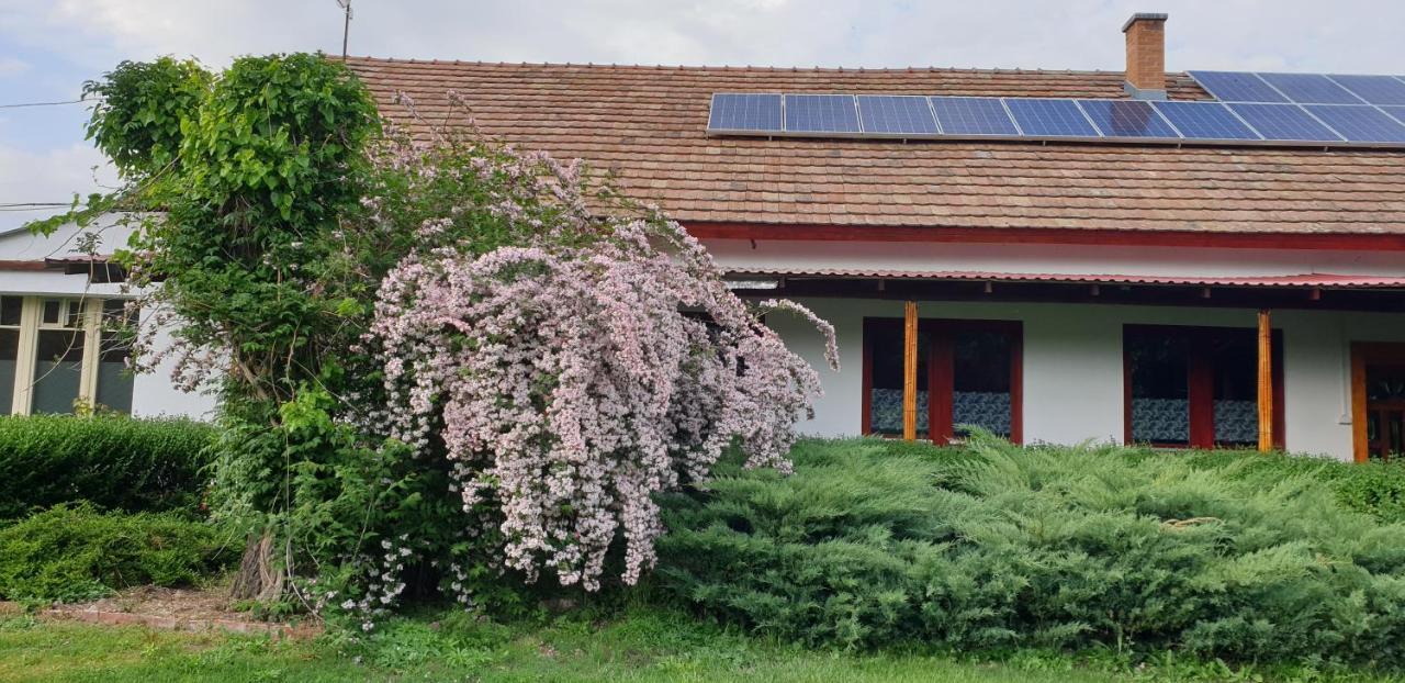 Villa Dobó Tanya Roszke Exterior foto